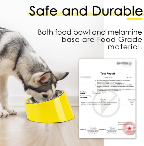 SuperDesign Mess Free 15° Slanted Bowl for Dogs and Cats, Tilted Angle Bulldog Bowl Dog Feeder, Non-Skid & Non-Spill, Easier to Reach Food S/0.5 C...