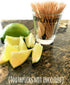 Obliviate Shot Glass/Cup-Wizard Gifts-Birthday Shot Glass for Men/Women-1.75 oz...