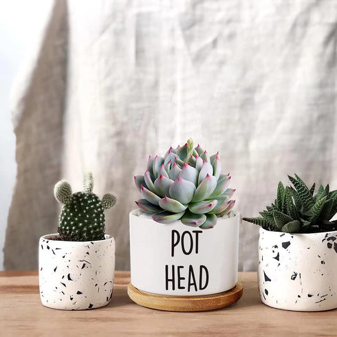 Pot Had Funny White Mini 3.5 inch Ceramic Flower Planter Pot with Drainage and Bamboo Tray, Cactus Pot, Mini Succulent Pots, Housewarming Gift for...