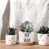 Pot Had Funny White Mini 3.5 inch Ceramic Flower Planter Pot with Drainage and Bamboo Tray, Cactus Pot, Mini Succulent Pots, Housewarming Gift for...
