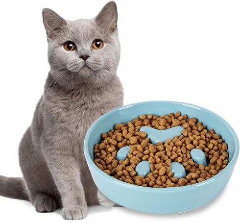 Slow Feeder Cat Bowls, Ceramic Fun Slow Eater Bowl for Cats (Turquoise)...