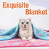 Pet Soft Blankets for Dogs - Fluffy Cats Dogs Blankets for Small Medium & Large Dogs, Cute Print Pet Throw Puppy Blankets Fleece (Heart, 3S)...