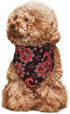 Paisley Red Dog Bandana Scarf Triangle Bibs Pet Accessories Cat Kerchief...