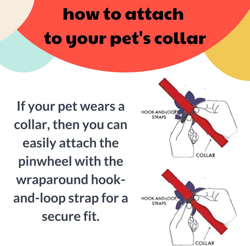 Huxley & Kent Pet Pinwheel | Leaves & Nuts (Large) | Fall Collar Accessory for Dogs/Cats | Bow Collar Attachment | Cute, Comfortable Accessory | H...