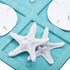 Sumind Tic Tac Toe Game Beach House Decor Wood Coastal Decor Board Game Beach House Present Multilayer Board for Home Beach Starfish Decor(Blue)...
