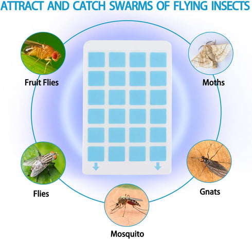 10 pack Indoor Fly Trap Refill Glue Cards, TOADWILL Plug-in Flying Insect Trap Indoor Replacement Sticky Cards...