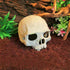 Aquarium Ornament - Emulational Skull Decor Resin decorations...