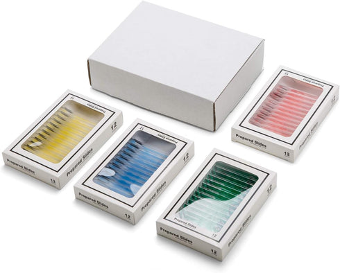 48pcs Kids Plastic Prepared Microscope Slides of Animals Insects Plants Flowers Sample Specimens for Microscopes...