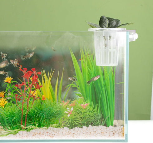 2pcs Aquarium Plant Holder, Hanging Aquarium Planter Plastic Aquatic Plant Cup Fish Tank Plant Basket Rack Plant Cultivation Decoration...