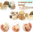 Hermit Crab Shell - Openning Size 0.6"-2" Medium to Large Growth Turbo Seashells Natural Sea Shells for Hermit Crab Supplies, Aquarium Décor, Naut...