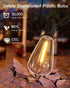 GLUROO LED String Light Bulbs, ST38 Shatterproof LED Replacement Bulbs for Outdoor String Lights Eidison Bulb fits E12 C7 Screw Base, 1Watt Equvan...