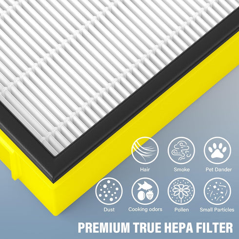 FLT4100 Replacement Filter E Compatible with Guardian Technologies model AC4100, AC4100CA, AC4150BL, AC4150PCA, AC4150P, 2-Pack...
