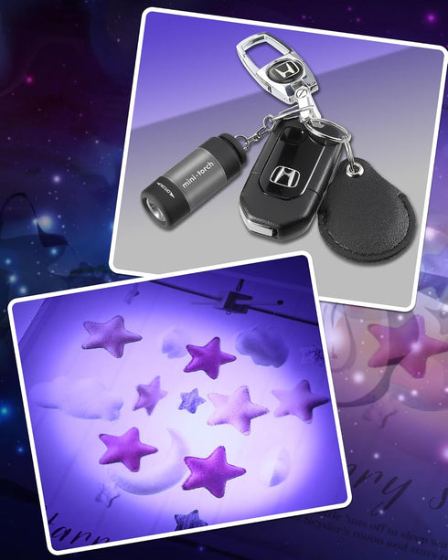 Mudder 12 Pieces Mini Keychain Light Bulk Pocket Tiny Flashlight Handheld Black Light led USB Rechargeable Waterproof Small Flashlights for Emerge...