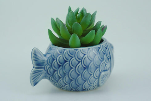 VanEnjoy 5" Ceramic Succulent Pot, Cute Ocean Blue Seashell Series, Conch Shaped Cactus Pot Planter, Flower Pot, Pottery Bonsai Pot (Seashell M)...