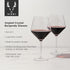Viski Raye Angled Burgundy Glasses Set of 2 - Premium Crystal Clear Glass, Modern Stemmed, Flat Bottom Red Wine Gift Set - 21 oz...