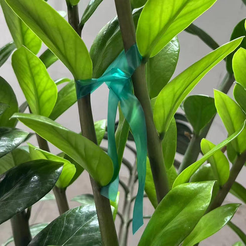 Garden Stretch Tie Tape, 1/2" Garden Tie Tape Roll, 1 Roll 150 Feet Thick Plant Ribbon Green Vinyl Stake for Indoor Outdoor Patio Plants Branches ...