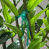 Garden Stretch Tie Tape, 1/2" Garden Tie Tape Roll, 1 Roll 150 Feet Thick Plant Ribbon Green Vinyl Stake for Indoor Outdoor Patio Plants Branches ...