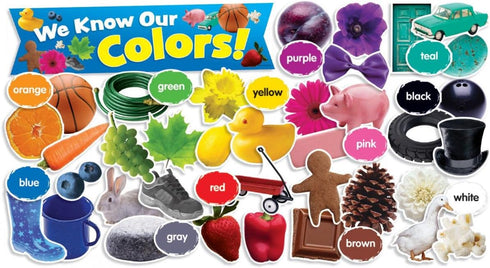 Scholastic Teacher's Friend Colors in Photos Mini Bulletin Board, Multiple Colors (TF8090)...