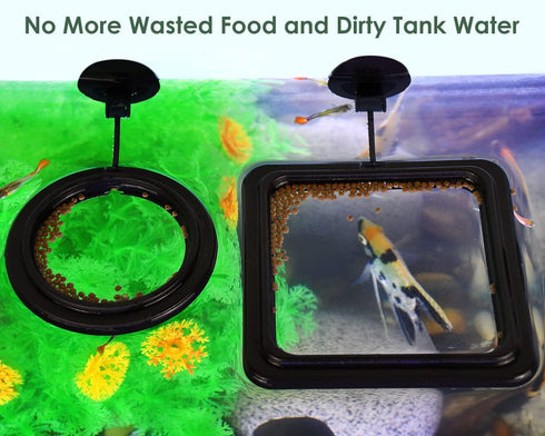 DS. DISTINCTIVE STYLE Fish Feeding Ring 2 Pieces Aquarium and Tank Floating Rings Food Feeders with Suction Cup (Black)...