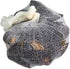 Regency Wraps Boil 'n' Wraps Steamer Bags for Safe and Easy Cooking of Shellfish, Crabs, Clams, Vegetables, and More, Natural, 24” (Pack of 3)...