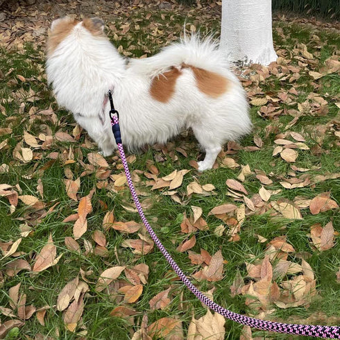 6FT Heavy Duty Dog Leash, Comfortable Soft handle, 1/2" Diameter Nylon Rope Leash for Medium and Large Dogs Walking Training, Pink...