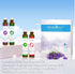 Essential Oil Roll On Set with Lavender, Peppermint, Eucalyptus & Grapefruit - Aromatherapy Relaxation Gift for Women - 4 Pack of 10ml Roll-Ons...