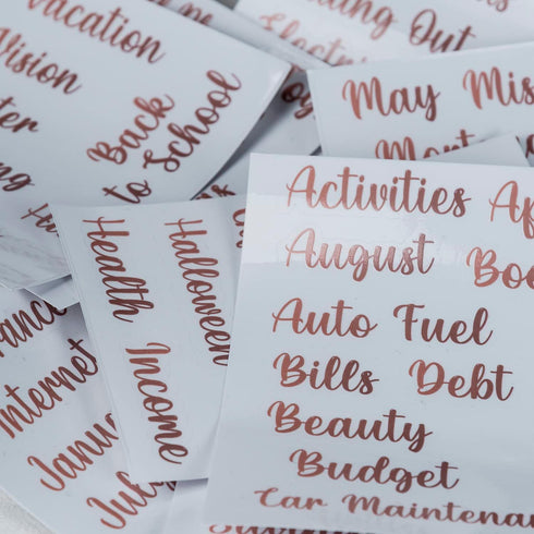 80 Cash Envelope Labels Stickers, Gold Budget Binder Label Stickers, Budgeting Planner Letter Stickers for Cash Envelopes & A6 Binder, Money Organ...