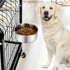 Dog Bowl Stainless Steel Pet Hanging Food Water Bowl Cage Feeding Cup Feeder for Dogs Cats Rabbits Birds Small Animal (Large (2pcs)...