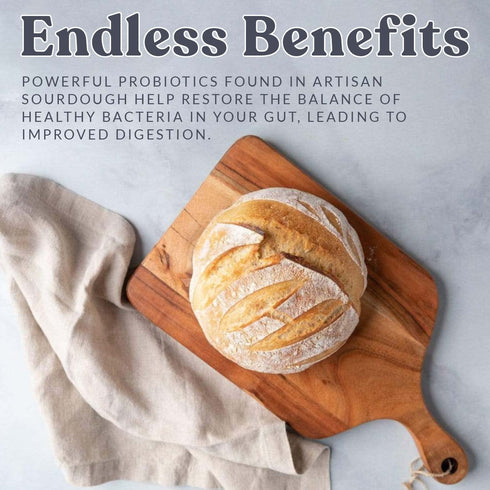 Cultures for Health San Francisco Sourdough Style Starter Culture | Homemade Artisan Bread | Heirloom, non-GMO | Live Culture Bread Mix | Easy to ...