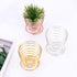 6 PCS Geometric Air Plant Holder Airplants Rack Metal Plants Stand, Airplant Stand Container Tillandsia Stainless Steel Display Racks, Wire Metal ...