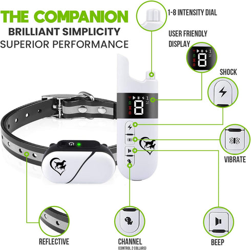 Essential Pet Products The Companion Dog Training Collar with 3 Training Modes, Beep, Vibration, Shock, 100% Waterproof, Rechargeable, Fits Small ...
