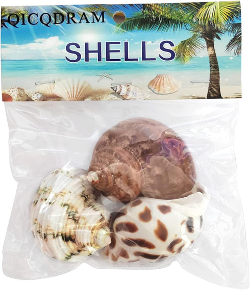 3 PCS Hermit Crab Shells 2~2.7Inch Natural Hermit Crab Shells Opening Size 1~1.3Inch Hermit Crab Supplies...