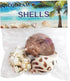 3 PCS Hermit Crab Shells 2~2.7Inch Natural Hermit Crab Shells Opening Size 1~1.3Inch Hermit Crab Supplies...