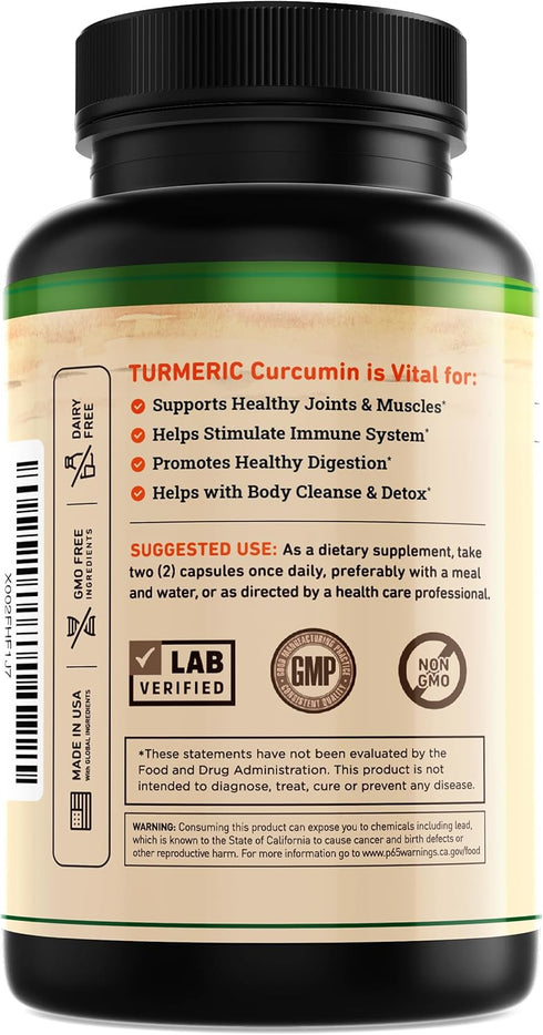 Turmeric and Ginger Supplement - Tumeric Curcumin Joint Support Pills - with Apple Cider Vinegar & BioPerine Black Pepper - 95% Curcuminoids - 60 ...