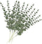 12 Pcs Artificial Eucalyptus Leaves Stems Real Touch Green Leaf for Wedding Arrangements Bouquet Office Party Centerpieces Garden Outdoor Ceremony...