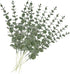 12 Pcs Artificial Eucalyptus Leaves Stems Real Touch Green Leaf for Wedding Arrangements Bouquet Office Party Centerpieces Garden Outdoor Ceremony...