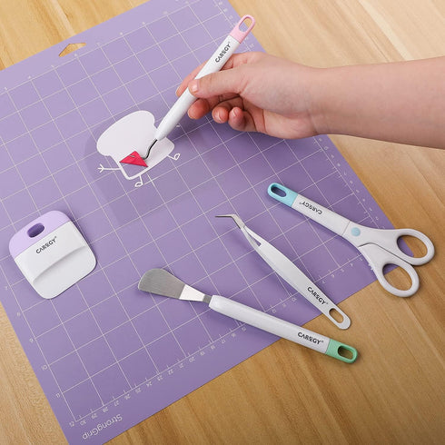 CAREGY Craft Vinyl Weeding Tools Set, Precision Craft Tools Kit, Weeding Kits for Cricut/Silhouette/Siser/Oracal 631/651/751 Vinyl...