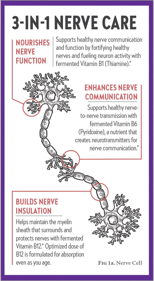 New Chapter Nerve Health Supplement for 3-in-1 Nerve Support from Head to Toe—Vitamin B1 Generates Energy for Nerves,Vitamin B6 Enhances Nerve Com...