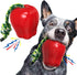Dog Chew Toys for Aggressive-Chewers - Indestructible Dog Toy for Aggressive Chewer?Tough Chew Toys for Dogs (Rubber Red Apple)...