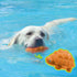 Dog Toys for Aggressive Chewers, Heavy Duty Tough Dog Toy for Large Dogs, Indestructible Squeaky Dog Toys...