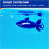 SwimWays Zoomimals Shark Toy, Kids Pool Accessories & Swimming Pool Toys, Pool Diving Toys & Torpedo Pool Toys for Kids Ages 5 & Up...
