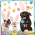 6 Pcs Easter Day Dog Collar with Flower Easter Day Adjustable Holiday Dog Collars Safety Buckle Nylon Dog Collar for Female Male Small Medium Larg...