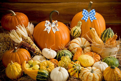 2 Rolls Cute Animal Ribbons for Crafting, Spring Summer Wired Edge Ribbon Blue Buffalo Plaid Ribbon Bow Birthday Calf Farmhouse Burlap Ribbon for ...