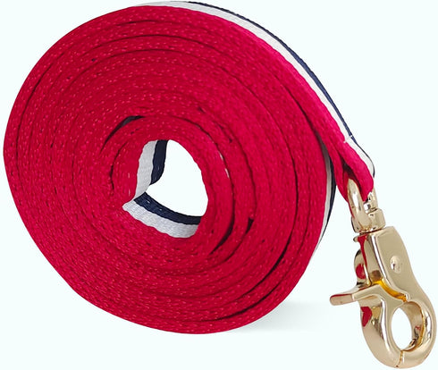 Premium Dog Leash with Luxury Style, Soft Durable Dog Leashes, Walking Training Leash for Small Medium Large Dogs...