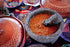 Chile de Arbol - Dried Red Chili Pepper Powder - 4oz - Ground Peppers For Authentic Mexican Cuisine...