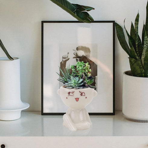 Cute Succulent Garden Pots Ceramic: Succulent Plant Pot Small Flower Planter Flower Head Planters Flower Pots Plant Pots for Outdoor Garden Home P...