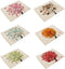 6 Pieces Polyester Linen Placemats Oil Painting Animal Pattern Dining Table Mats(6) (1)...