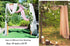 White Wedding Arch Draping Fabric 29" X 20FT Sheer Drapes Chiffon Fabric for Wedding Arbor Engagement Ceremony Party Bridal Shower Swag Fabric Dec...