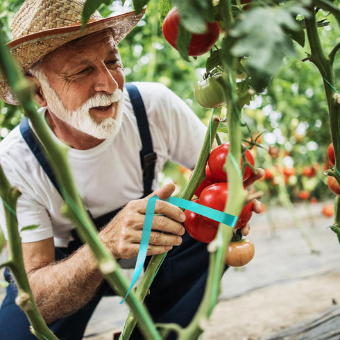 Stretch Tie Tape Roll, 2 Pack Total 300 Feet 1/2"" Garden Tie Tape Thick Sturdy Garden Plant Ties Green Vinyl Plant Ribbon Gardening Tools Green G...