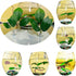 Fish Leaf Pad Fish Tank Accessories Aquarium Décor Simulating 3 pcs Adjustable Plastic Plants Betta Natural Habitat Playing Spawn Breed Rest Bed w...